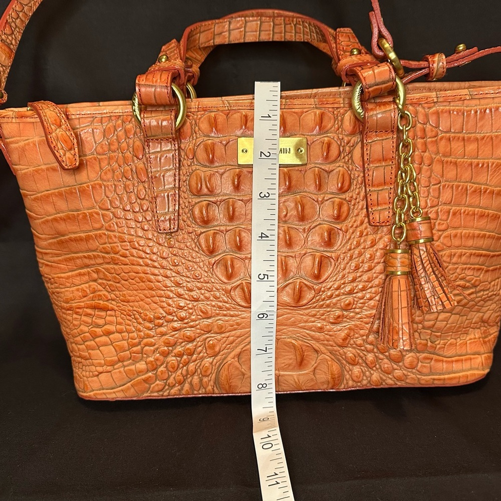 Brahmin Vintage Mini Asher Tulle Coral Melbourne RARE - Picture 8 of 10